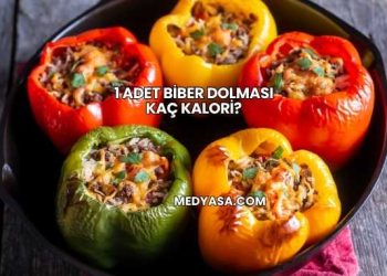 1 Adet Biber Dolması Kaç Kalori?