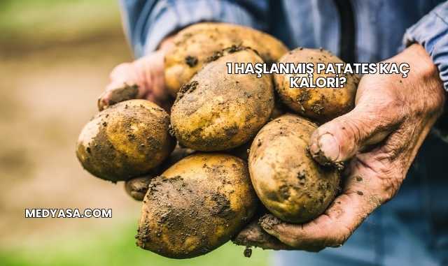 1 Haşlanmış Patates Kaç Kalori?