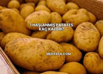 1 Haşlanmış Patates Kaç Kalori?
