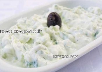 1 Kase Cacık Kaç Kalori?