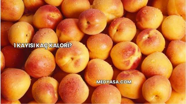 1 Kayısı Kaç Kalori?