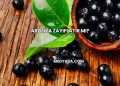Aronya Zayıflatır mı?