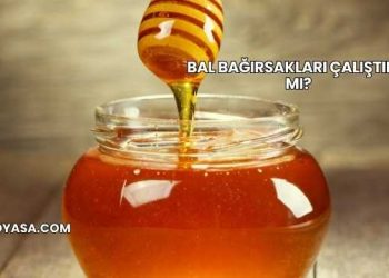 Bal Bağırsakları Çalıştırır mı?