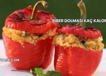 Biber Dolması Kaç Kalori?