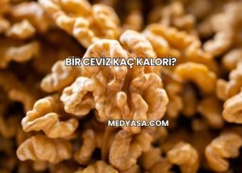 Bir Ceviz Kaç Kalori?