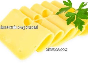Bir Dilim Peynir Kaç Kalori