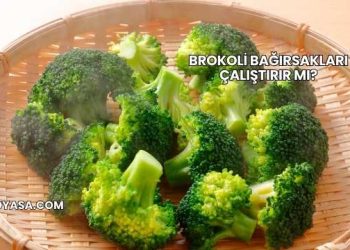 Brokoli Bağırsakları Çalıştırır mı?