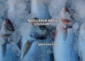 Buzlu Balık Nasıl Çözülür?