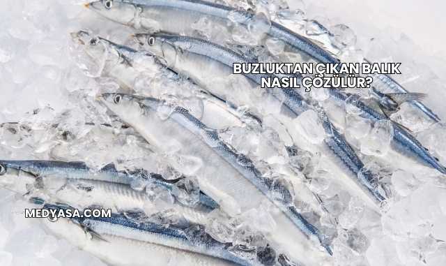 Buzluktan Çıkan Balık Nasıl Çözülür?