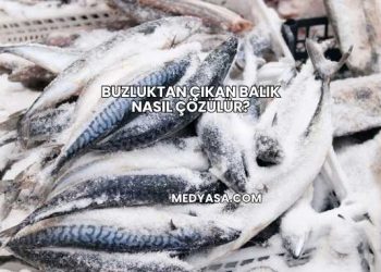 Buzluktan Çıkan Balık Nasıl Çözülür?