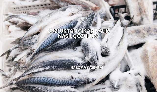 Buzluktan Çıkan Balık Nasıl Çözülür?