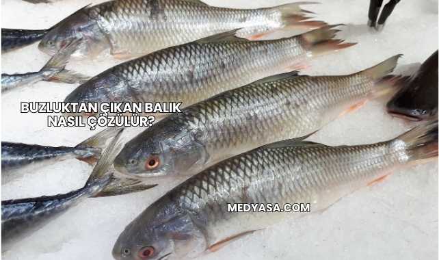 Buzluktan Çıkan Balık Nasıl Çözülür?
