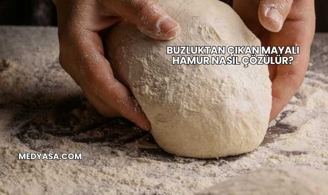 Buzluktan Çıkan Mayalı Hamur Nasıl Çözülür?