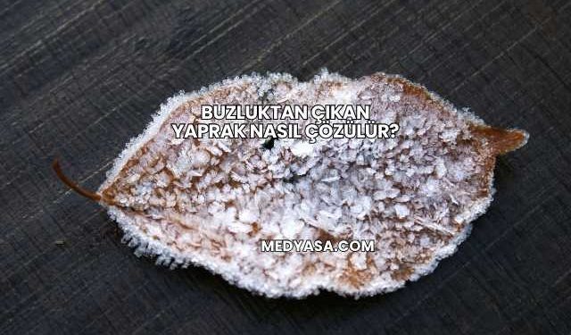 Buzluktan Çıkan Yaprak Nasıl Çözülür?