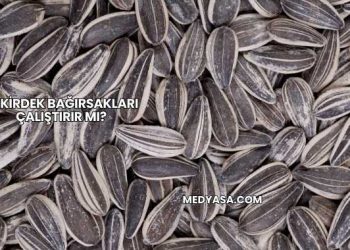 Çekirdek Bağırsakları Çalıştırır mı?