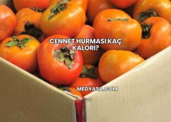 Cennet Hurması Kaç Kalori?