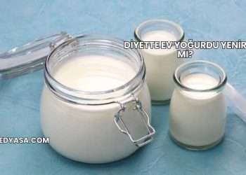 Diyette Ev Yoğurdu Yenir mi?