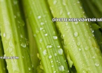 Diyette Kereviz Yenir mi?