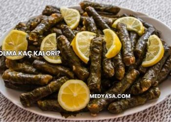 Dolma Kaç Kalori?