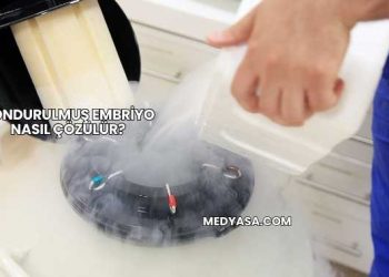 Dondurulmuş Embriyo Nasıl Çözülür?