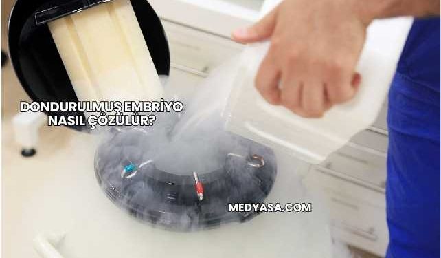 Dondurulmuş Embriyo Nasıl Çözülür?