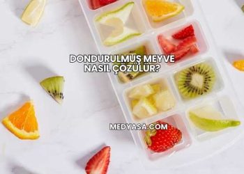 Dondurulmuş Meyve Nasıl Çözülür?