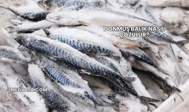 Donmuş Balık Nasıl Çözülür?