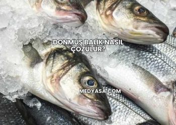 Donmuş Balık Nasıl Çözülür?