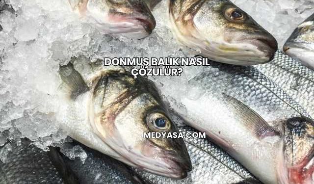 Donmuş Balık Nasıl Çözülür?