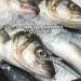 Donmuş Balık Nasıl Çözülür?