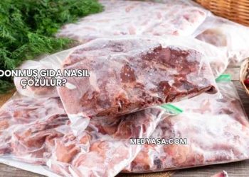 Donmuş Gıda Nasıl Çözülür?