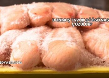 Donmuş Tavuk Göğsü Nasıl Çözülür?