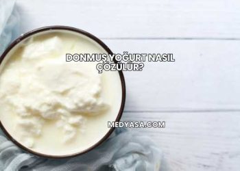Donmuş Yoğurt Nasıl Çözülür?