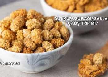 Dut Kurusu Bağırsakları Çalıştırır mı?