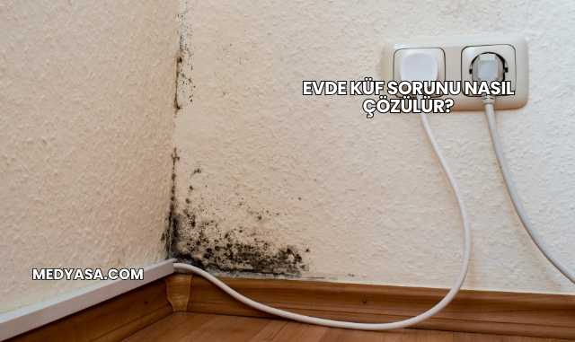 Evde Küf Sorunu Nasıl Çözülür?