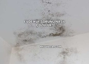 Evde Küf Sorunu Nasıl Çözülür?