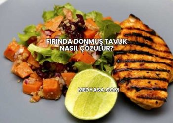 Fırında Donmuş Tavuk Nasıl Çözülür?