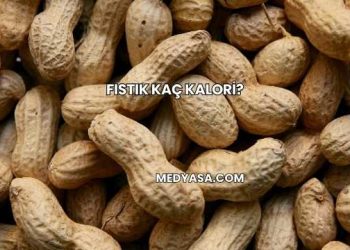 Fıstık Kaç Kalori?