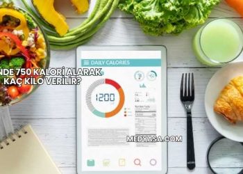 Günde 750 Kalori Alarak Kaç Kilo Verilir?