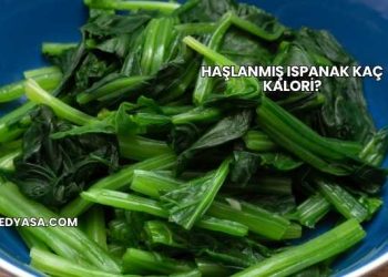 Haşlanmış Ispanak Kaç Kalori?
