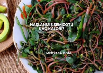 Haşlanmış Semizotu Kaç Kalori?