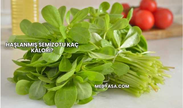 Haşlanmış Semizotu Kaç Kalori?