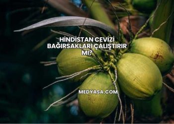 Hindistan Cevizi Bağırsakları Çalıştırır mı?