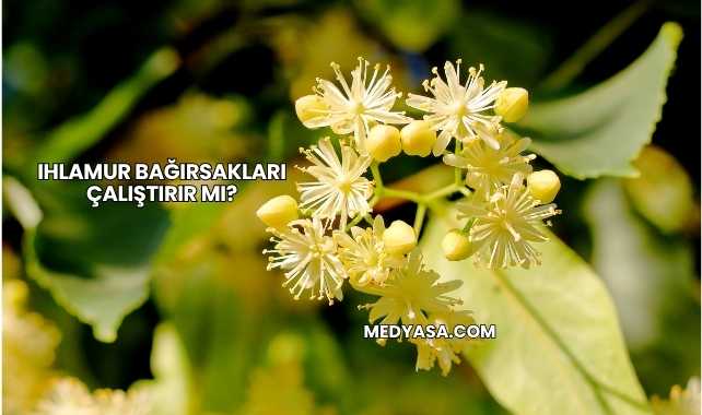 Ihlamur Bağırsakları Çalıştırır mı?