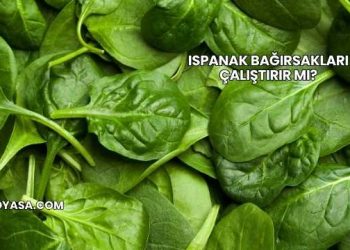 Ispanak Bağırsakları Çalıştırır mı?