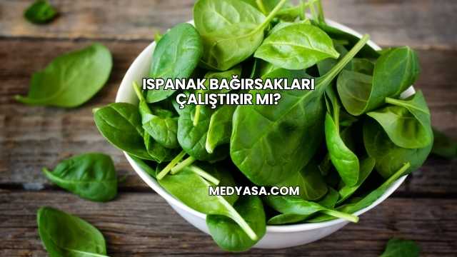 Ispanak Bağırsakları Çalıştırır mı?