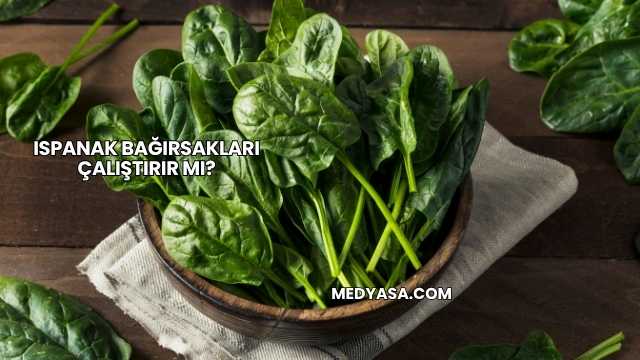 Ispanak Bağırsakları Çalıştırır mı?