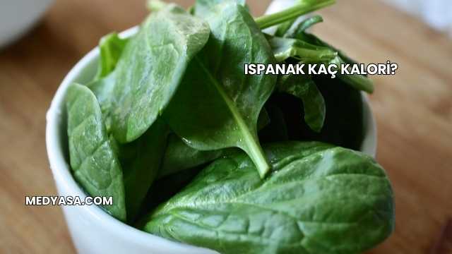 Ispanak Kaç Kalori?