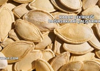 Kabak Çekirdeği Bağırsakları Çalıştırır mı?