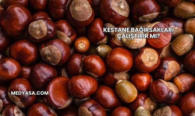Kestane Bağırsakları Çalıştırır mı?